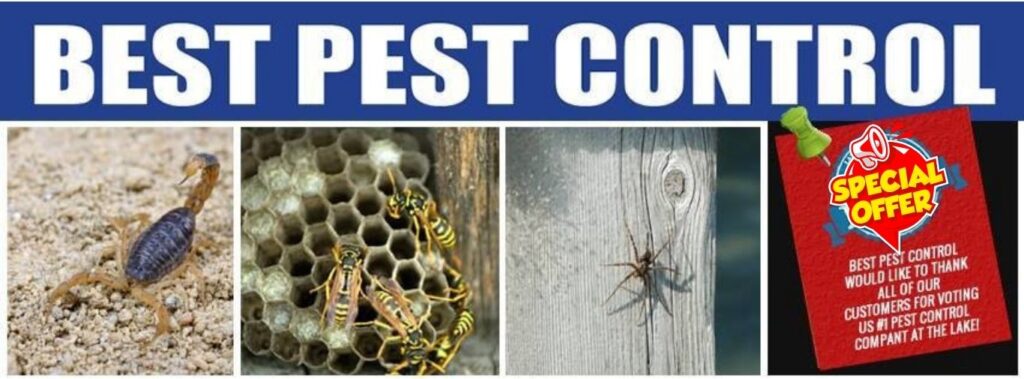 Best Pest Control