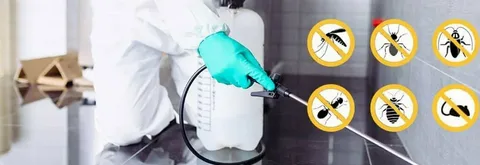Professional Pest Control Solutions for Homes and Businesses