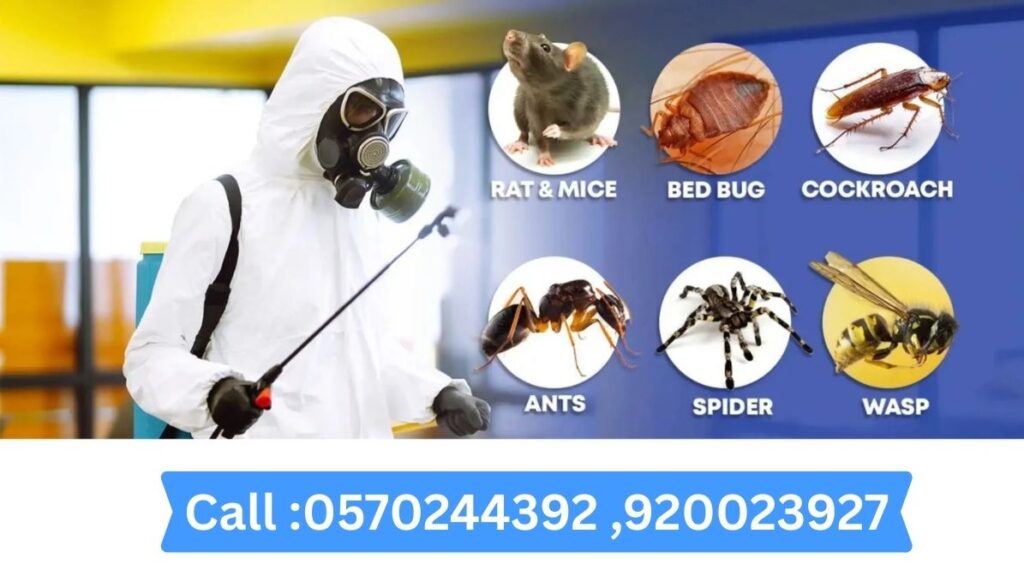 Need Pest Control During Winter Season
